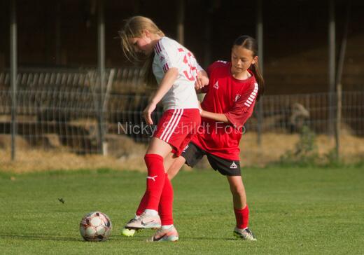 Albertslund IF - Orient/Ejby IF