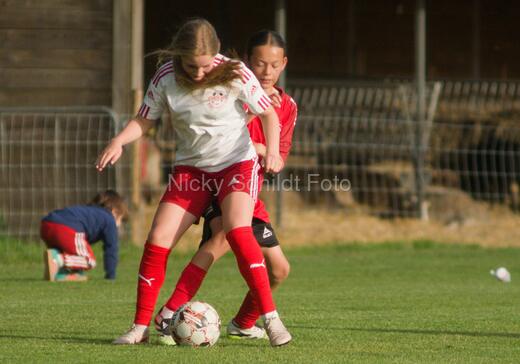 Albertslund IF - Orient/Ejby IF