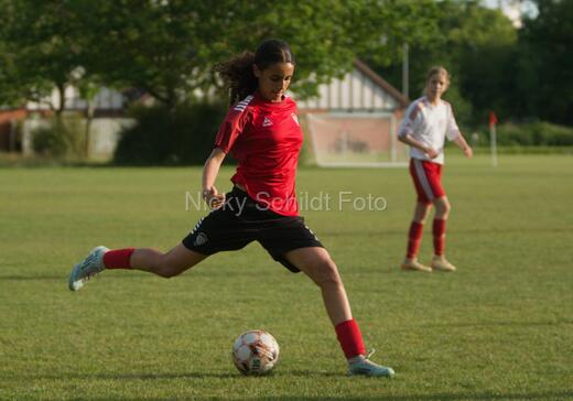 Albertslund IF - Orient/Ejby IF