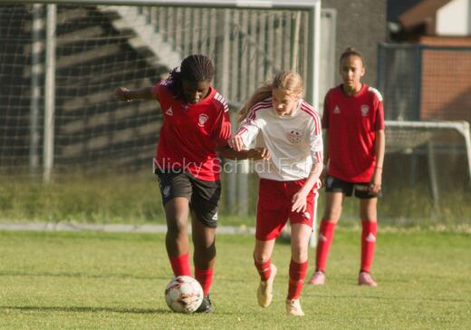 Albertslund IF - Orient/Ejby IF