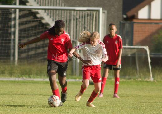 Albertslund IF - Orient/Ejby IF