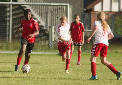 Albertslund IF - Orient/Ejby IF