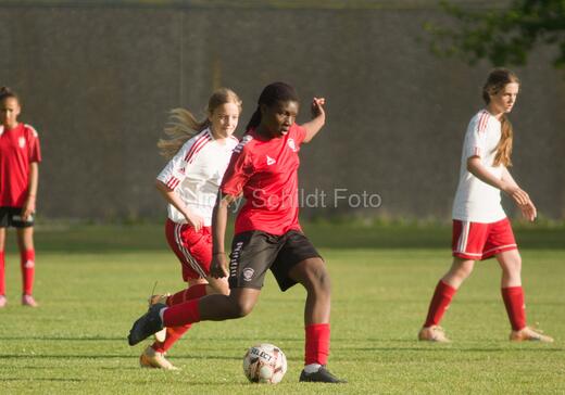 Albertslund IF - Orient/Ejby IF