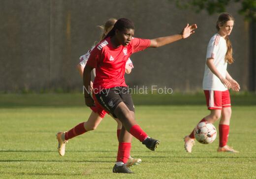 Albertslund IF - Orient/Ejby IF