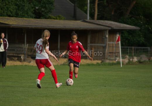 Albertslund IF - Orient/Ejby IF
