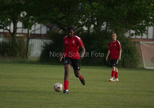 Albertslund IF - Orient/Ejby IF