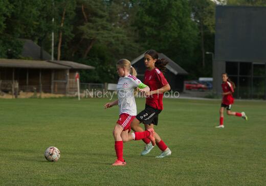 Albertslund IF - Orient/Ejby IF