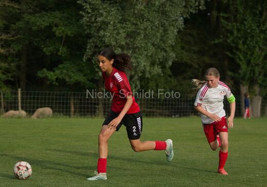 Albertslund IF - Orient/Ejby IF