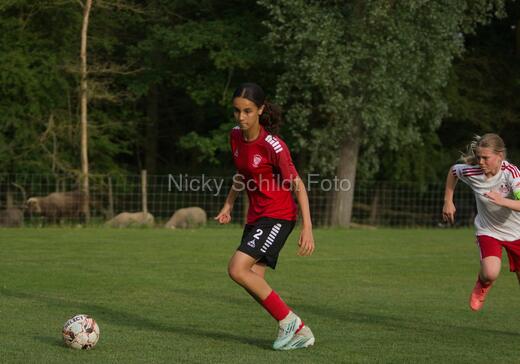 Albertslund IF - Orient/Ejby IF