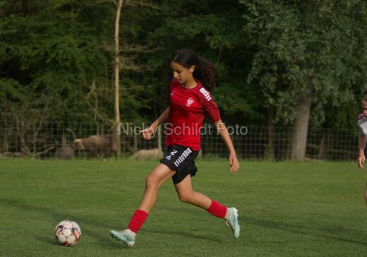 Albertslund IF - Orient/Ejby IF