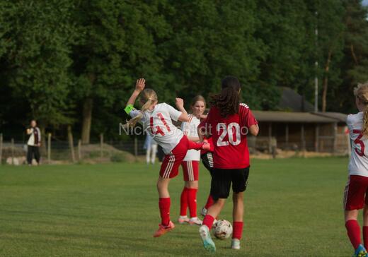 Albertslund IF - Orient/Ejby IF