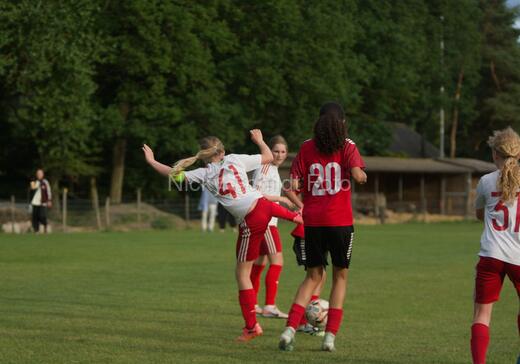 Albertslund IF - Orient/Ejby IF