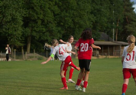 Albertslund IF - Orient/Ejby IF