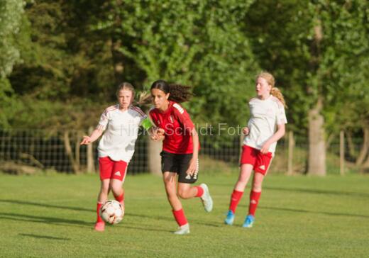Albertslund IF - Orient/Ejby IF