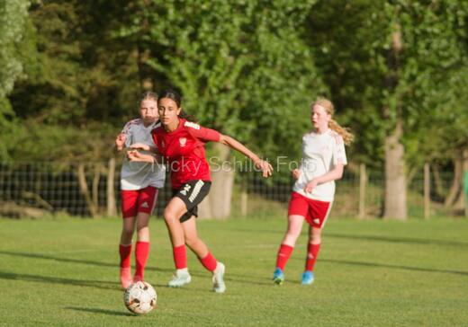 Albertslund IF - Orient/Ejby IF