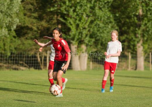 Albertslund IF - Orient/Ejby IF