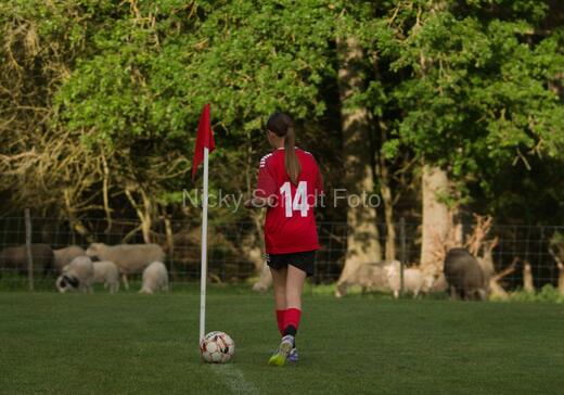 Albertslund IF - Orient/Ejby IF