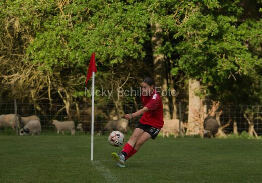 Albertslund IF - Orient/Ejby IF