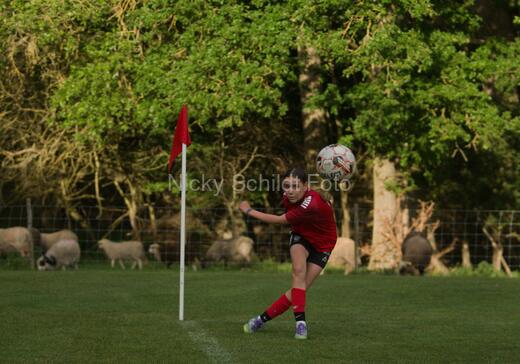 Albertslund IF - Orient/Ejby IF