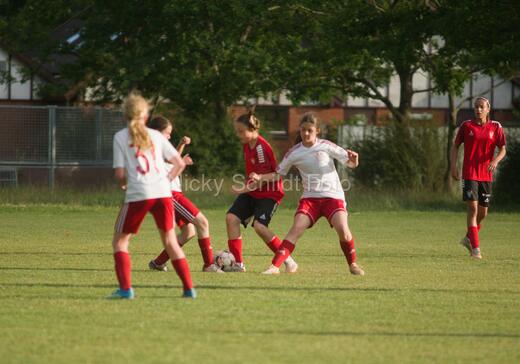 Albertslund IF - Orient/Ejby IF