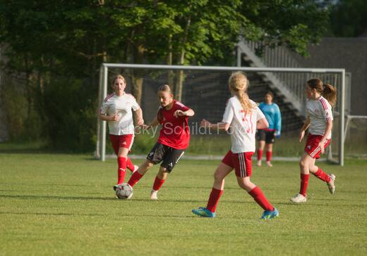 Albertslund IF - Orient/Ejby IF