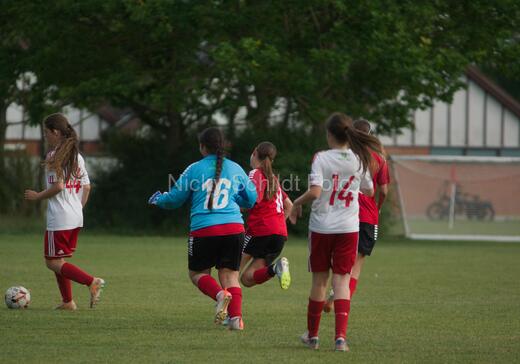 Albertslund IF - Orient/Ejby IF