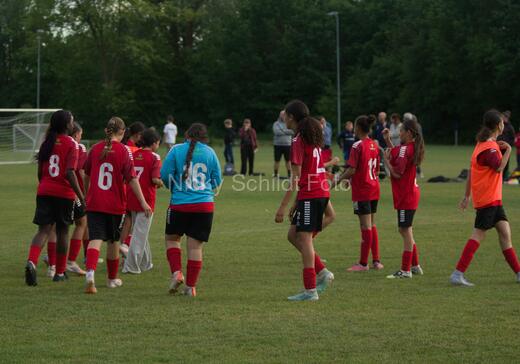 Albertslund IF - Orient/Ejby IF