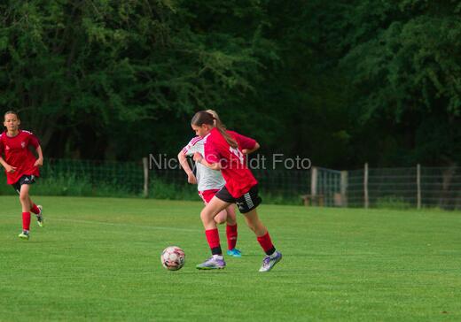 Albertslund IF - Orient/Ejby IF