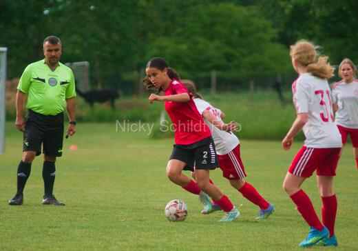 Albertslund IF - Orient/Ejby IF