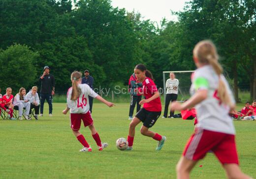Albertslund IF - Orient/Ejby IF