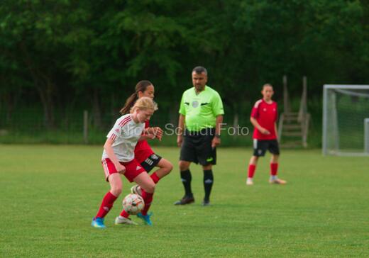Albertslund IF - Orient/Ejby IF