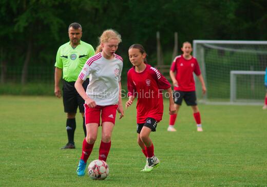 Albertslund IF - Orient/Ejby IF