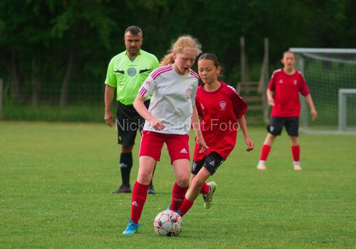 Albertslund IF - Orient/Ejby IF