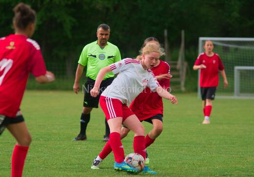 Albertslund IF - Orient/Ejby IF