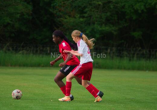 Albertslund IF - Orient/Ejby IF