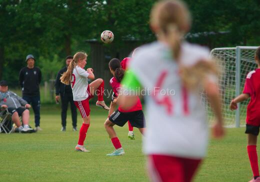 Albertslund IF - Orient/Ejby IF
