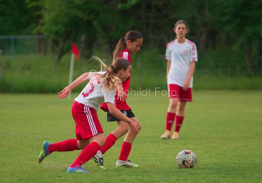 Albertslund IF - Orient/Ejby IF