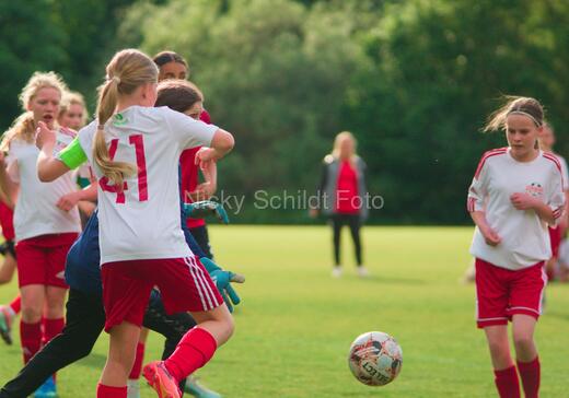 Albertslund IF - Orient/Ejby IF