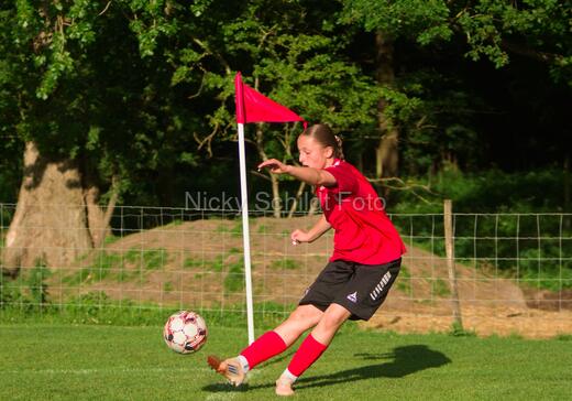 Albertslund IF - Orient/Ejby IF