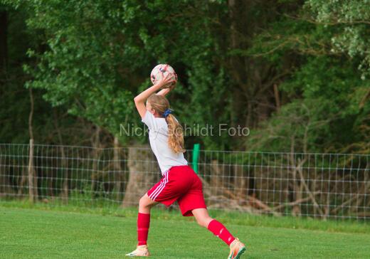 Albertslund IF - Orient/Ejby IF