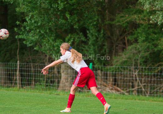 Albertslund IF - Orient/Ejby IF