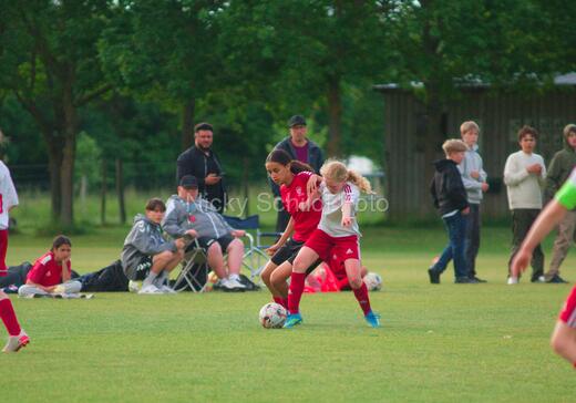 Albertslund IF - Orient/Ejby IF