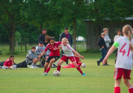 Albertslund IF - Orient/Ejby IF