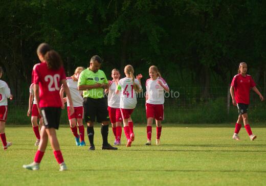 Albertslund IF - Orient/Ejby IF