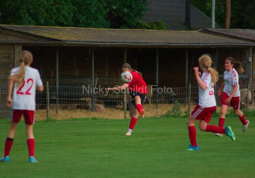Albertslund IF - Orient/Ejby IF