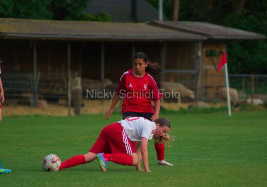 Albertslund IF - Orient/Ejby IF