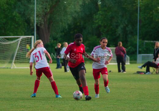 Albertslund IF - Orient/Ejby IF