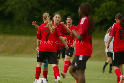 Albertslund IF - Vestia