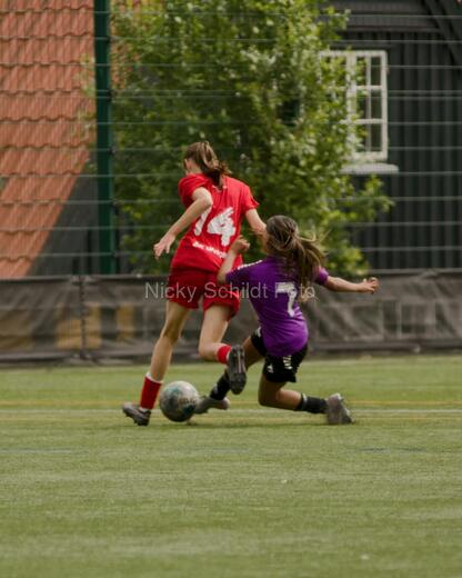 HG Fodbold - BK Union