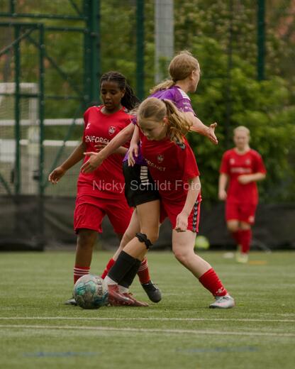 HG Fodbold - BK Union